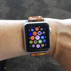 Applewatch_the